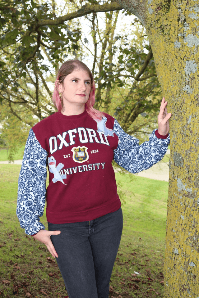 Pull Sweat Recyclé - Thème Bruni de La Reine des Neiges  Taille S